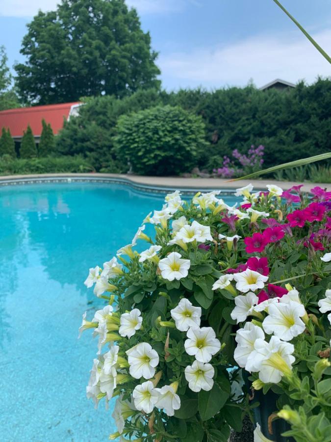 Manoir Alegria Bed & Breakfast Cowansville Exterior photo